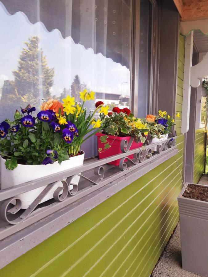 Gite Le Chalet Vert , Pret De Raquettes Frambouhans Екстериор снимка